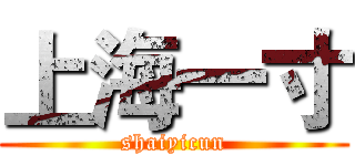 上海一寸 (shaiyicun)