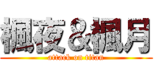 楓夜＆楓月 (attack on titan)