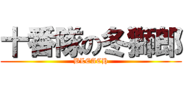 十番隊の冬獅郎 (BLEACH)