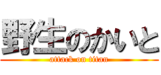 野生のかいと (attack on titan)