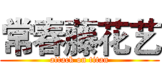 常春藤花艺 (attack on titan)