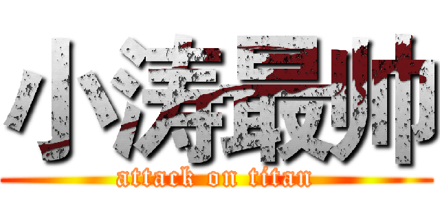 小涛最帅 (attack on titan)