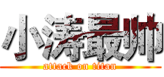 小涛最帅 (attack on titan)