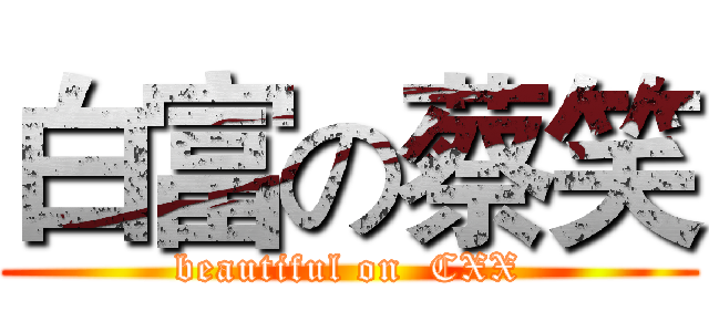 白富の蔡笑 (beautiful on  CXX)
