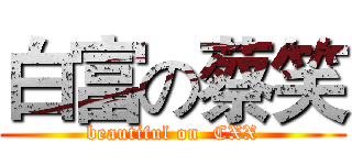 白富の蔡笑 (beautiful on  CXX)