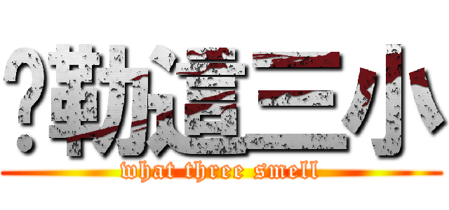 啊勒這三小 (what three smell)