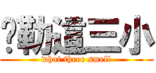 啊勒這三小 (what three smell)