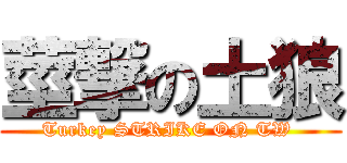 莖撃の土狼 (Turkey STRIKE ON TW )