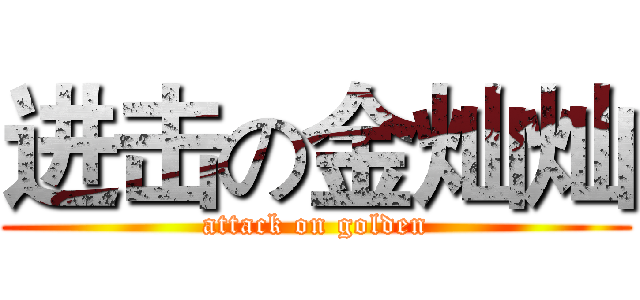 进击の金灿灿 (attack on golden)