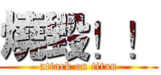 燒毀！！ (attack on titan)