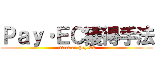 Ｐａｙ・ＥＣ獲得手法 (attack on Pay EC)