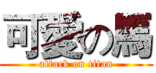 可愛の馬 (attack on titan)