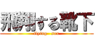 飛翔する靴下 (flying   sox)