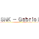 ＳＮＫ － Ｇａｂｒｉｅｌ (2013)