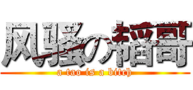 风骚の韬哥 (a tao is a bitch)