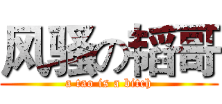 风骚の韬哥 (a tao is a bitch)