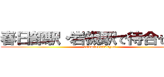 春日部駅・岩槻駅で待合せ限定 (105min18000yen)