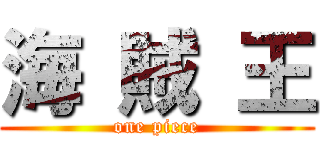 海 賊 王 (one piece)