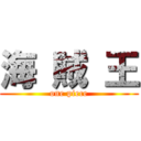 海 賊 王 (one piece)