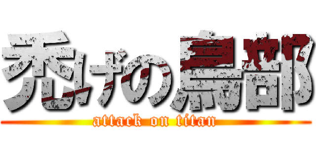 禿げの鳥部 (attack on titan)