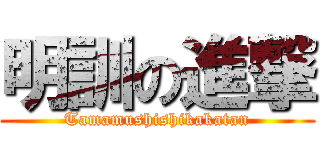 明訓の進撃 (Tamamushishikakatan)