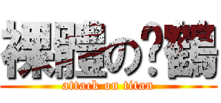 裸體の搞鶴 (attack on titan)