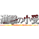 進擊の小受 (attack on shou)