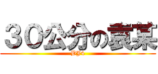 ３０公分の袁某 (BJ4)