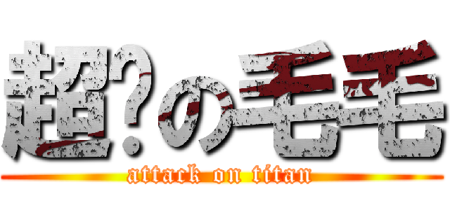 超帅の毛毛 (attack on titan)