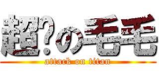 超帅の毛毛 (attack on titan)