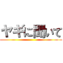 ヤギに聞いて ()