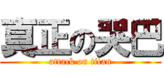 真正の哭巴 (attack on titan)