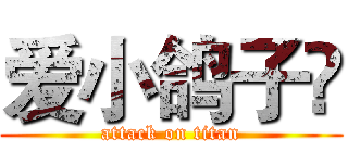 爱小鸽子😂 (attack on titan)
