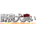 野良犬臭い (attack on titan)