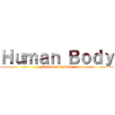 Ｈｕｍａｎ Ｂｏｄｙ (Muscular System)