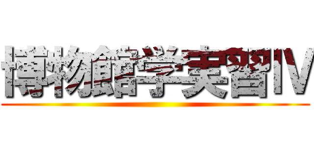 博物館学実習Ⅳ ()