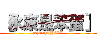 ［永康是笨蛋］ (what the HELL)