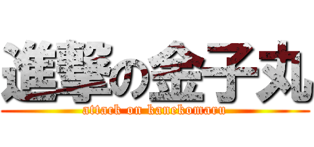 進撃の金子丸 (attack on kanekomaru)