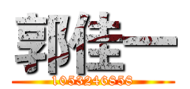 郭佳一 (1053246858)