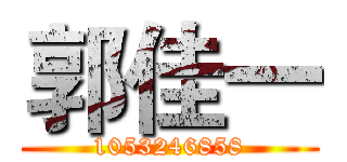 郭佳一 (1053246858)