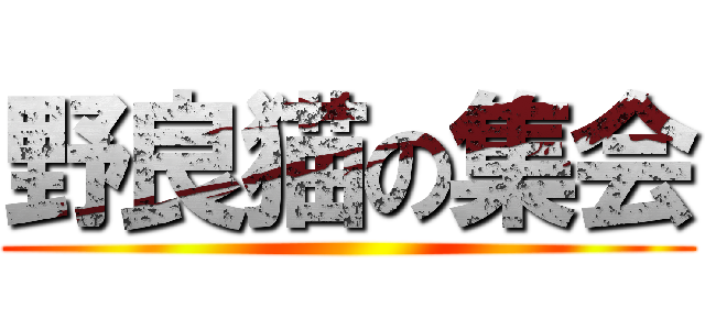 野良猫の集会 ()