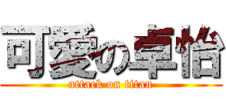 可愛の卓怡 (attack on titan)