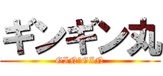 ギンギン丸 (GIN☆GIN)