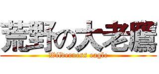 荒野の大老鷹 (Wilderness eagle)