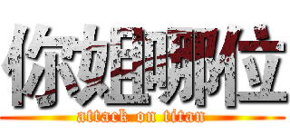 你姐哪位 (attack on titan)