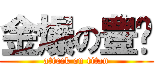 金爆の豊♡ (attack on titan)