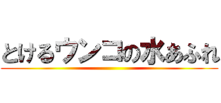 とけるウンコの水あふれ ()