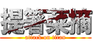 提箸菜摘 (attack on titan)