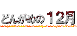 どんがめの１２月 (It's not a question of life or death, it's a question of honour.)