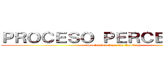 ＰＲＯＣＥＳＯ ＰＥＲＣＥＰＴＩＶＯ (Scarlet Santana De La Cruz )